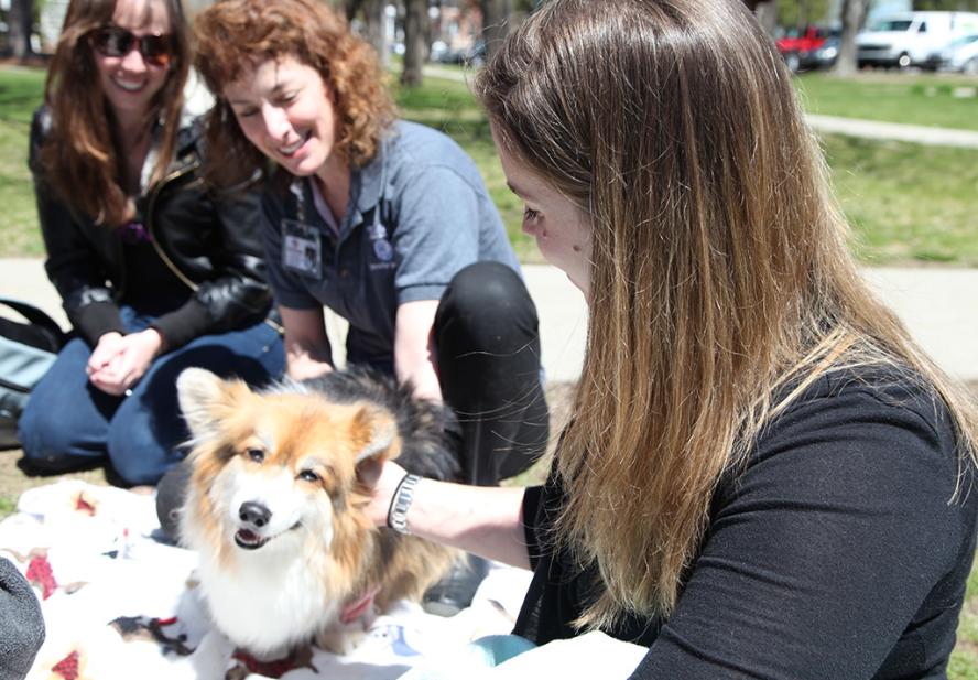A group of people sitting with a dog at the Paws for People event