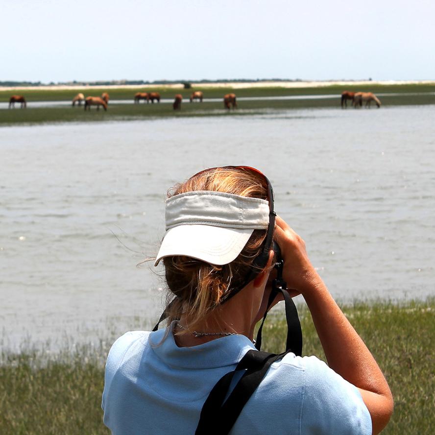 Woman taking a picture of distant herd of animals across a river