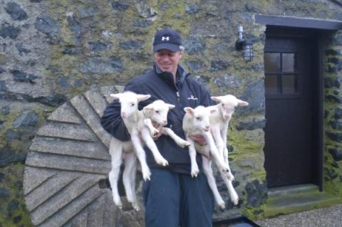 Dr. David Matsas holding 4 baby lambs reproduced through Santa Cruz embryo transfer